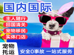 朔州滋润空运公司国际宠物托运 【国